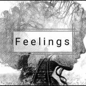 Feelings 