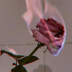 really want you back (PROD. miller)