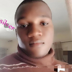 sikibi_trench_cover_celesilver__