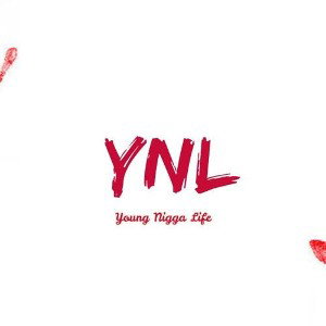 YNL BILL$_Covenants 