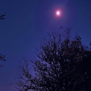 Phantom - 𝑴𝒊𝒅𝒏𝒊𝒈𝒉𝒕🌒