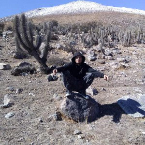 busca algo piola 