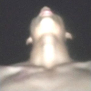 𝙁𝙇𝙊𝙒 𝘽𝙀𝙇𝙇𝘼𝙆𝙊 𝙗𝙮 𝙀𝙡𝙗𝙗𝙨𝙞𝙩𝙤𝙗𝙚𝙡𝙡𝙖𝙠𝙤𝙨𝙤