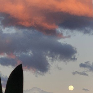 summer skies 