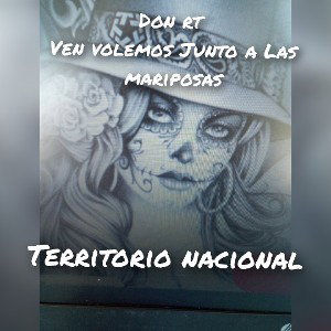 ven volemos entre mariposas