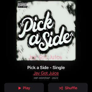 Jay Got Juice - Pick A Side