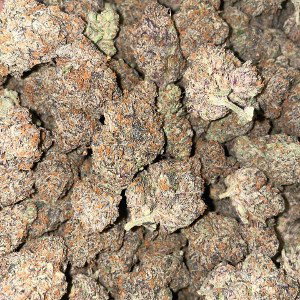 Trying to smoke up my trees freestyle