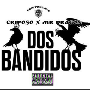 junte pirata 
