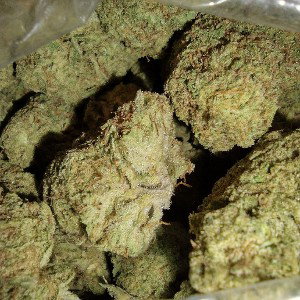 SMOKE IT FREE STYLE