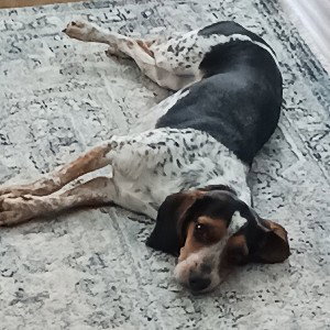life is hard