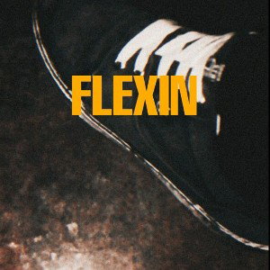 XVL SANTIAGO - Flexin (Audio)