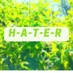H-A-T-E-R