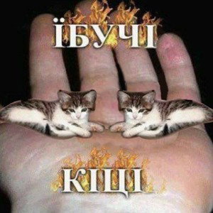йоу йоу 