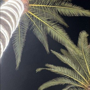 OGMUZZA - УДМ