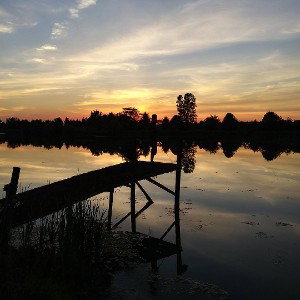 The Pennicle 