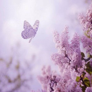 Dont let go of hope