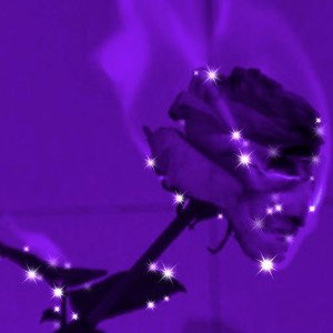 Who tf Are You-Svenja Ft. Kydred, IAmProblem