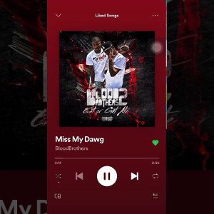 BloodBrothers- Miss My Dawg