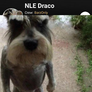 NlE Draco ft Dudu Brown n Dready Dreadlox-Make it Happen