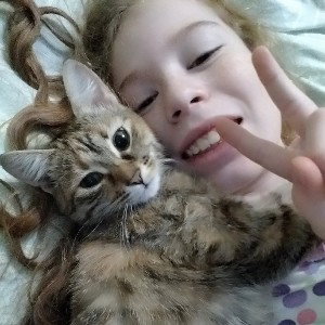 кошка и пельмень