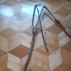 Diss na Leona co przyjachal 