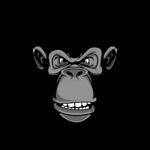 Drill (criminal cover)
