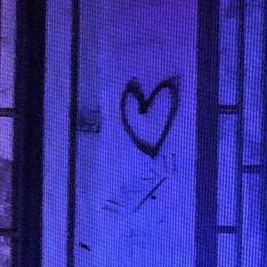 amor que siento