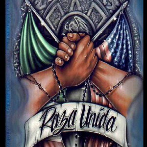mi vida chola
