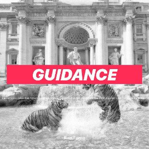 Guidance 