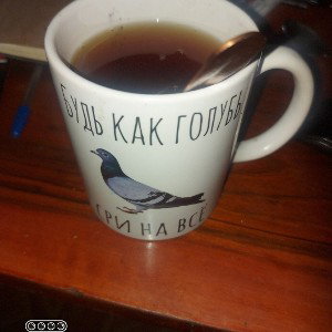 будь как голубь