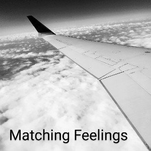 Matching Feelings