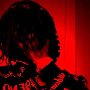 Lwe Draco - wildlin