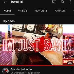 Bos - Im Just sayin