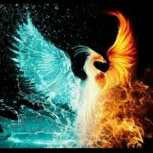 صدا ی ققنوس
