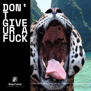 don’t give ur a fuck 