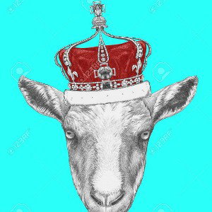 Royal Goat👑