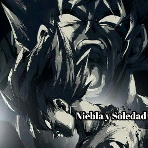 Niebla y Soledad.
