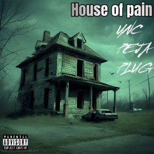 UNC X PEJA PLUG - HOUSE OF PAIN