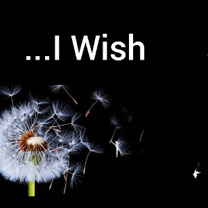 I Wish