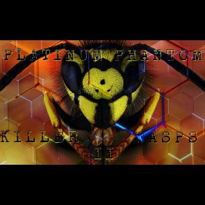 🔥🔥🐝  🇨🇦  KILLER WASPS 2  🇨🇦  🐝 🔥🔥    