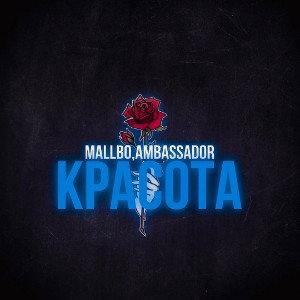 MALLBO-Красота