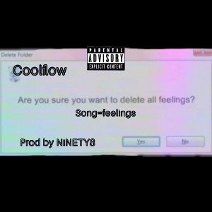 FEELINGS //COOLFLOW// 