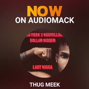 LAST NIGGA (THUGMEEK x Million dollar nigga) 