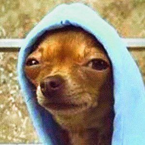 Rap Dogg