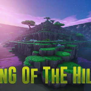 Kingofthehill 