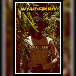 Brijaeshaw- Wandering