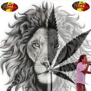 reggae
