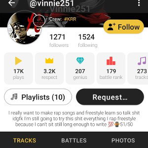 Who are You ::Farewell Vinnie251( your dead bitch) final chapter pt4