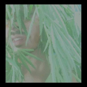 something real freestyle 