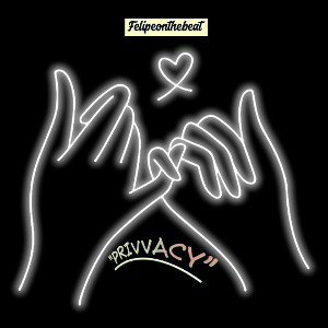 Privvacy SNIPPET 